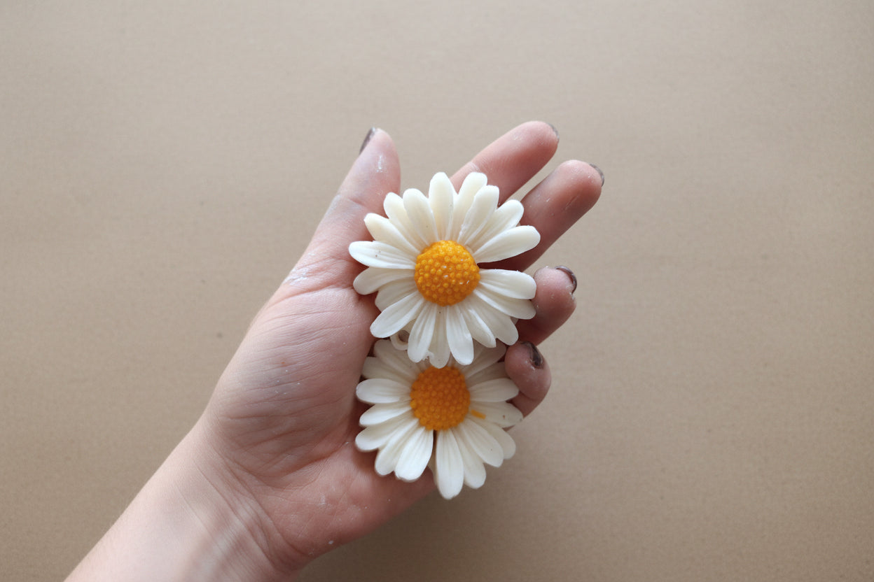 Margherite in Cera di Soia