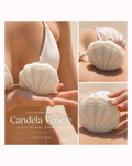 Venere | Candela decorativa conchiglia