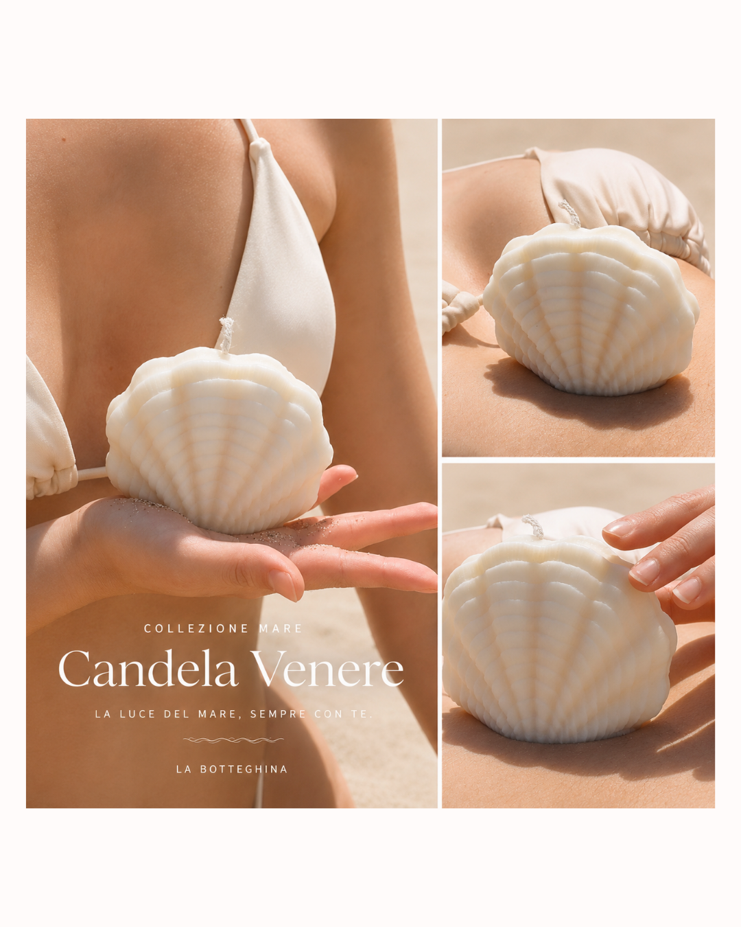 Venere | Candela decorativa conchiglia